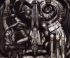 BioMech3.jpg