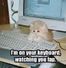 Watching.jpg
