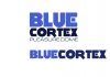 bluecortex.jpg