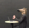 Typing Horse.gif
