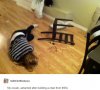 Chair Build Fail.jpg