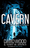 Cavern Cover Small.jpg