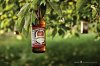 Beer Tree.jpg