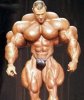 insane-body-builder-7.jpg