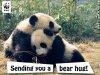 Sending Bear Hug.jpg