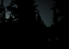 SNW.png