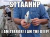 Tiny Terror Shark.jpg