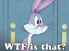Bugs WTF.gif