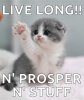Spock Quote Kitten.jpe