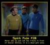 Spirk Rule 28.jpg