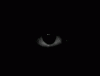 Eyeball 1.gif