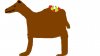 Camel&fruit.jpg