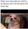 Same Shit.jpg