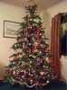 tree 1.png