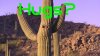 Cactus Hugs.jpg