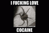 cocaine-spider.gif