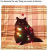 Christmas Cat.jpg