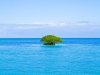 Castaway-island1-640x480.jpg