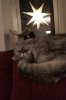 IMG_20181220_2147287-666x999.jpg