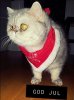20181224_092124.jpg
