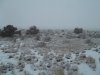 Snow-M1.jpg