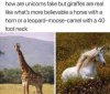 Unicorn v Giraffe.jpg
