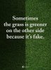grass.jpg