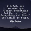 F.E.A.R. Meanings.jpg