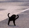 Creepy Cat Walking.jpg