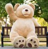 Giant Teddy.jpg
