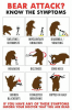 Bear Attack Symptoms.png
