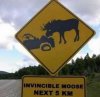 Invincible Moose.jpg