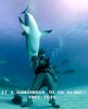 Take this Shark Edition.jpg
