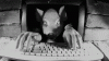 Pig Mask Typing.gif