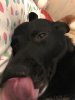 upload_2019-8-2_0-30-22.jpeg