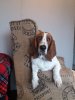 IMG-20190308-WA0012.jpg