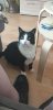 20190726_132152.jpg