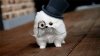 cats,adorable,cute,funny,kitten-817e309a9ce3217d203cc2758c9e6ad8_h_large.jpg