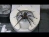 DED761A6-F249-488B-BDF5-9A6C8001DB23.jpeg
