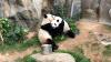 upload_2020-4-7_22-49-31.png