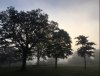 B76FC160-7590-45C3-ABD8-C0E3B9855128.jpeg