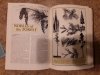 Encyclopedia 3.jpg