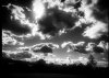 C6B05392-EBB0-4F14-892F-5C7A5C96AAD1.jpeg