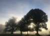 3B5CA045-92DC-448B-ABD4-EAB64C4269D0.jpeg