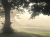 40DFCDB7-6032-4F9F-83B3-5DAB1F4366D2.jpeg