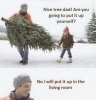 tree.JPG