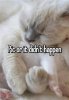 IMG_8960.jpeg