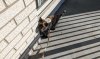 balcony 1.JPG