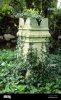 old-chimney-pot-used-as-a-garden-planter-with-ivy-A1DKK4.jpg