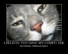lolcat-lol-cat-194.jpg